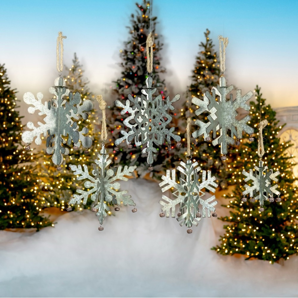 Set of 6 Snowflakes